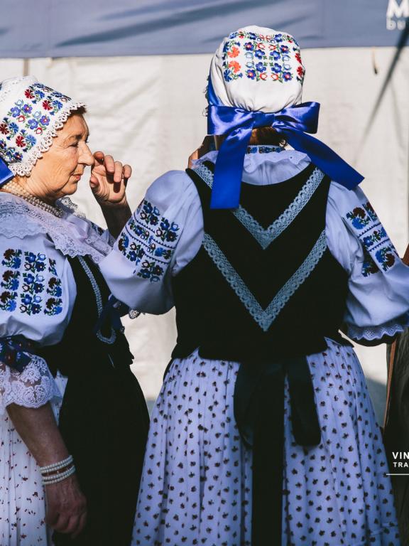 Vinobranie Pezinok