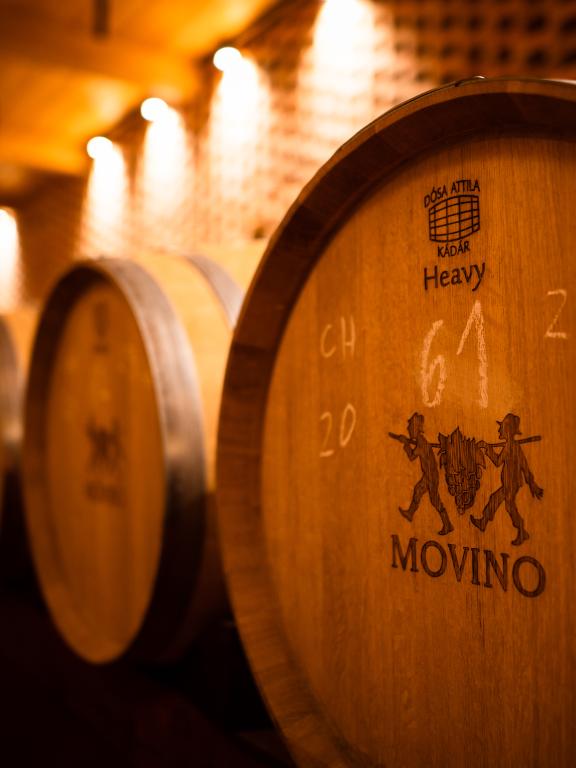 Movino