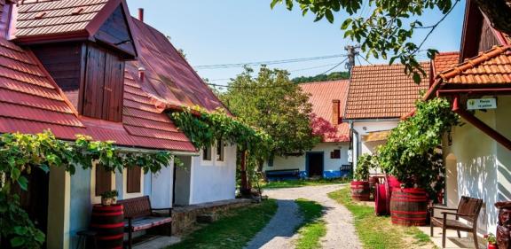 Slovenské novošlachtence