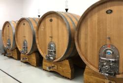 Veľké drevené sudy v pivnici vinárstva JP Winery