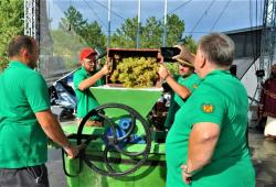 Račianske vinobranie