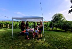 Potulky za vínom viničnou horou - stánok