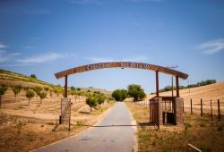 Chateau Selešťany vinárstvo