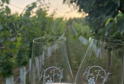 Hornoohajská vínna cesta - exteriér