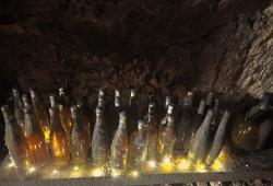 Potulky za vínom viničnou horou - pivnica