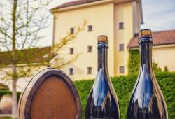 BVS Danube Wine Day