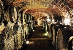 tokaj priestory