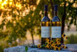 szomraky winery